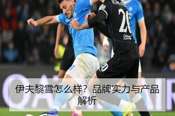 伊夫黎雪怎么样？品牌实力与产品解析（leyu）