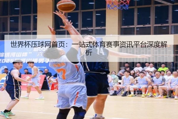 世界杯压球网首页：一站式体育赛事资讯平台深度解析