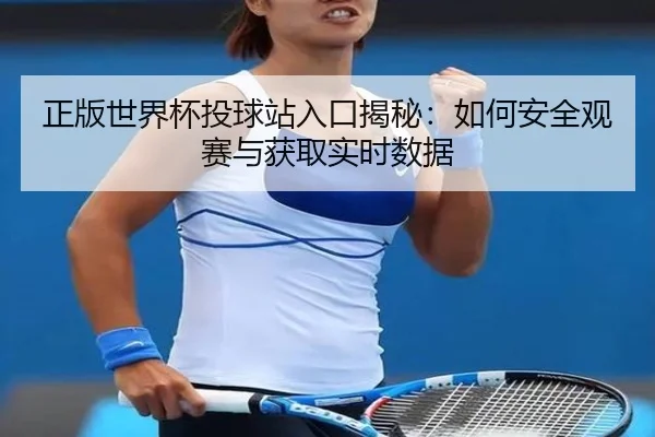 正版世界杯投球站入口揭秘：如何安全观赛与获取实时数据